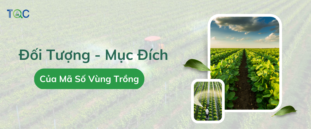 doi tuong can