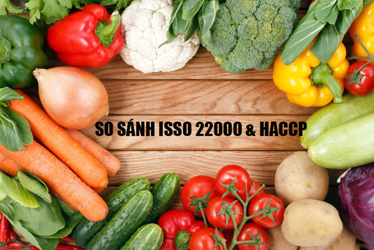 so sánh iso22000 và haccp