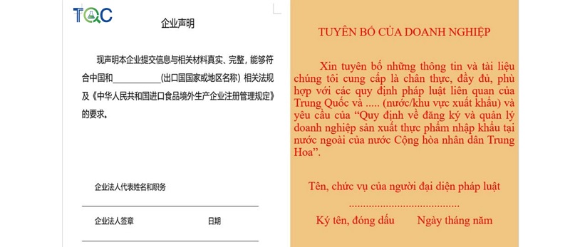 Tư vấn đăng ký Mã IRE năm 2026