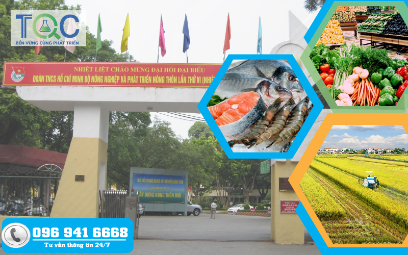 TQC CGLOBAL Đăng ký xuất khẩu sang Trung Quốc đáp ứng lệnh 248, 249