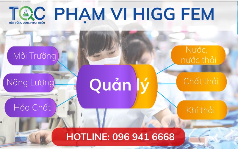PHạm vi higg fem