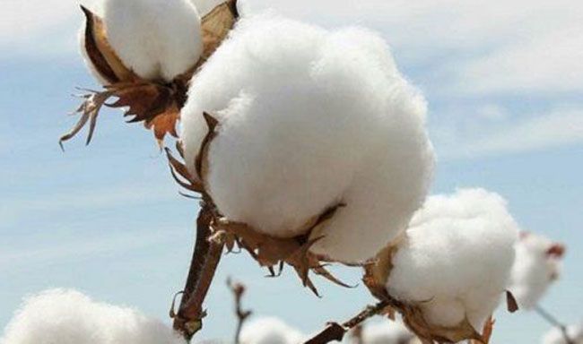 Tiêu chí Tiêu chuẩn tuyên bố tái chế