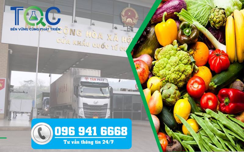 Tư vấn Đăng ký xuất khẩu sang Trung Quốc mới nhất 2023 | TQC CGLOBAL