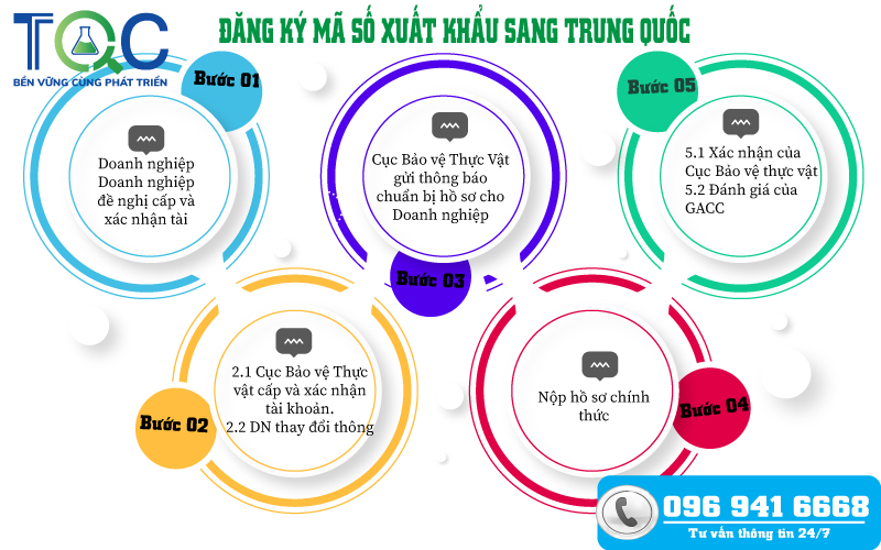 các Bước Đăng ký xuất khẩu sang Trung Quốc mới nhất 2023 | TQC CGLOBAL