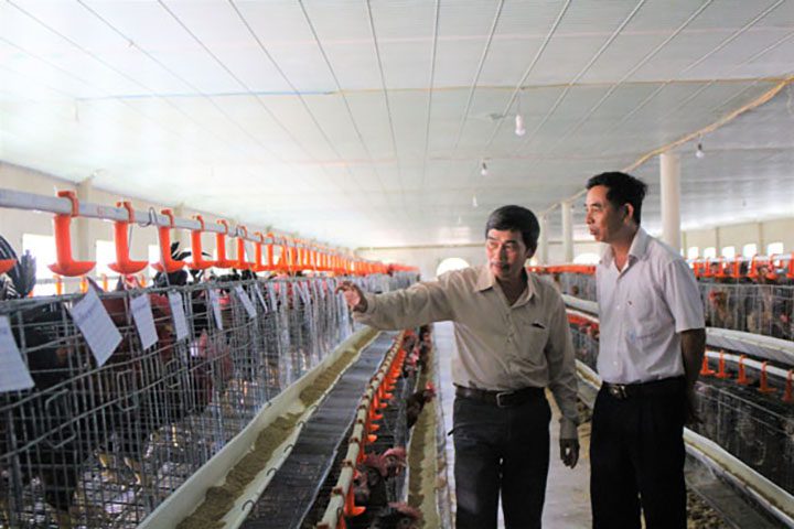 Đánh giá chứng nhận vietgap chăn nuôi, tqc, trung tâm tqc