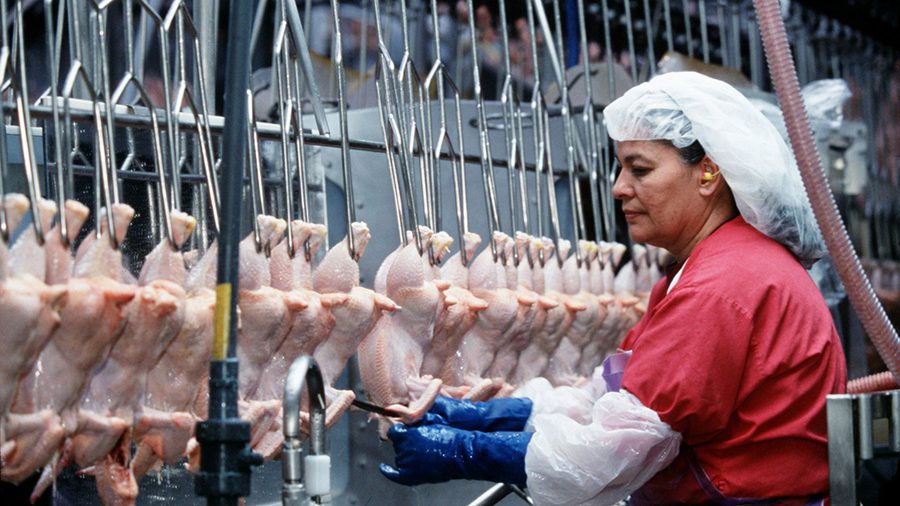 đánh giá chứng nhận haccp