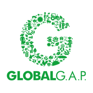 Chứng nhận GLOBALG.A.P. là gì? 