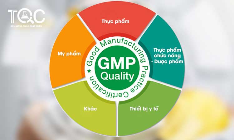 Chứng nhận GMP mới nhất 2022 | TQC