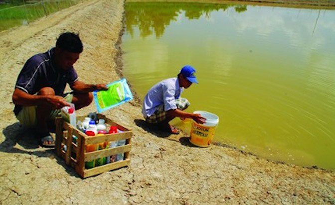 công bố thông tin thức ăn thủy sản, sản phẩm xử lý môi trường thủy sản