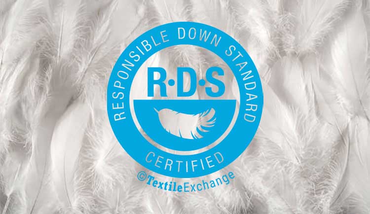 Dịch vụ đào tạo chứng nhận RDS của TQC