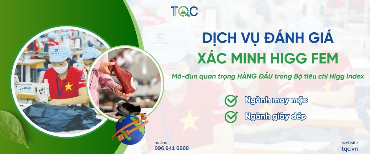 dich vu danh gia higg FEM