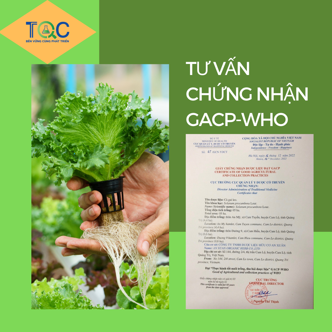 Dịch vụ tư vấn đạt chứng nhận GACP-WHO tại TQC