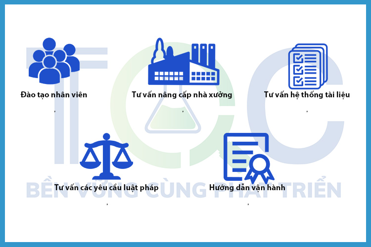 dich-vu-tu-van-chung-nhan-IFS-cua-TQC