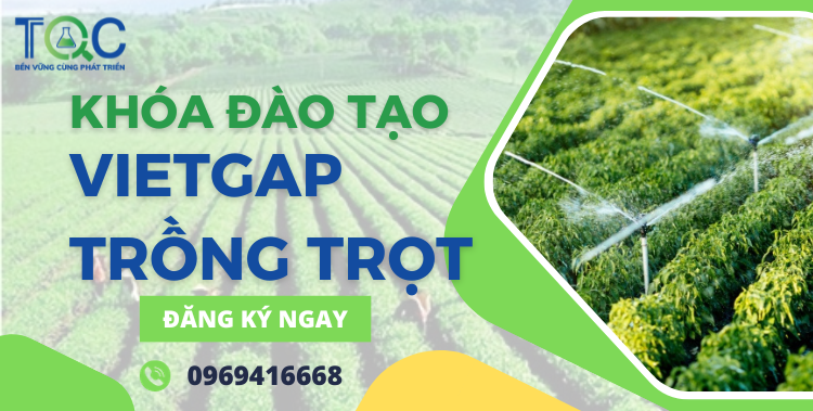 Khoá đào tạo tiêu chuẩn vietgap trồng trọt tại TQC CGLOBAL