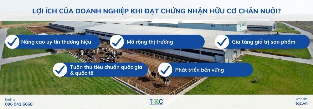 Lợi ích của doanh nghiệp khi đạt chứng nhận hữu cơ chăn nuôi? 