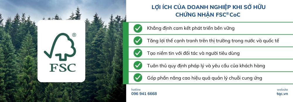 Lợi ích của doanh nghiệp khi sở hữu chứng nhận FSC® CoC