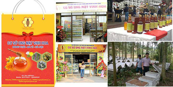 Chứng nhận VietGap chất lượng, Uy tín năm 2022 | TQC