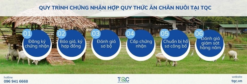 Quy trình chứng nhận hợp quy thức ăn chăn nuôi
