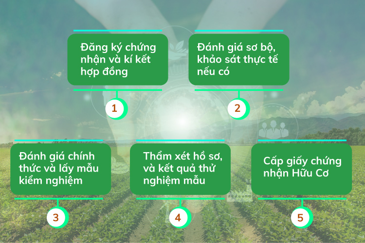 quy-trinh-chung-nhan-huu-co