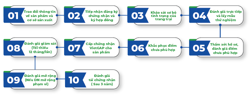 Quy trình đăng ký chứng nhận VietGAP tại TQC CGLOBAL