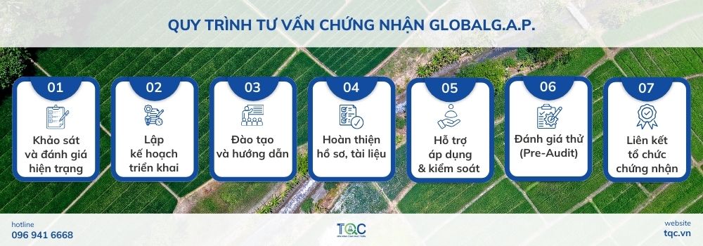 Quy trình tư vấn chứng nhận GLOBALG.A.P. 