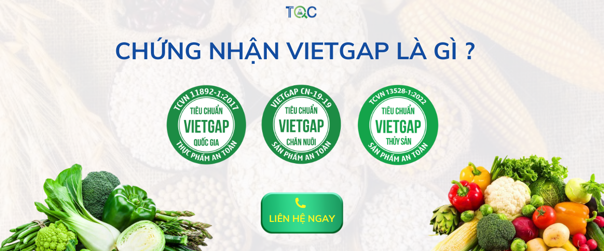 chung nhan vietgap la gi