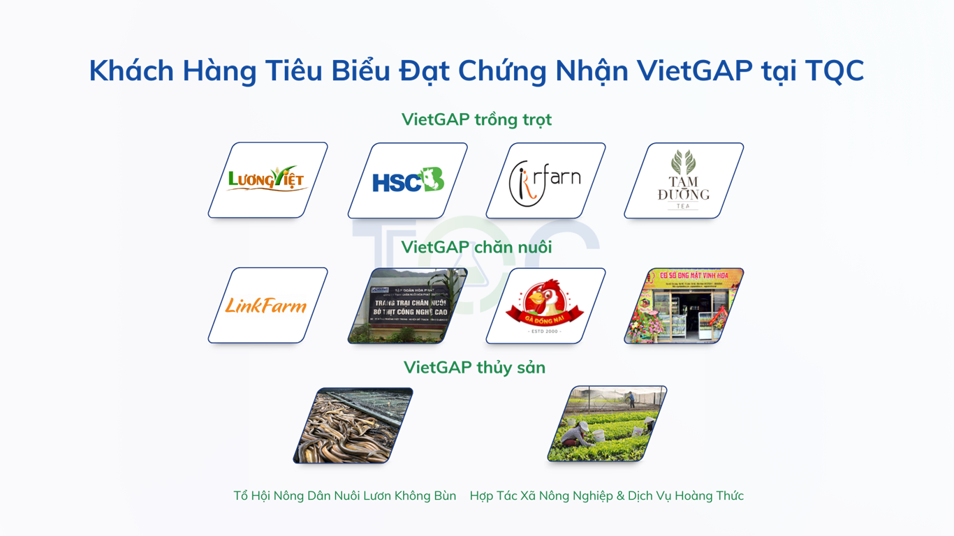 khach hang su dung dich vu