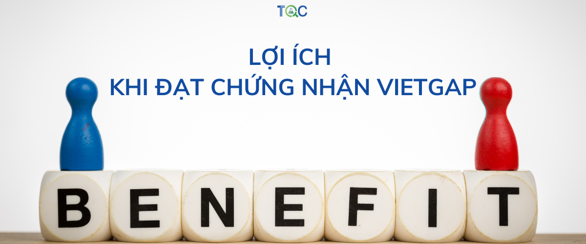 loi ich khi co vieggap