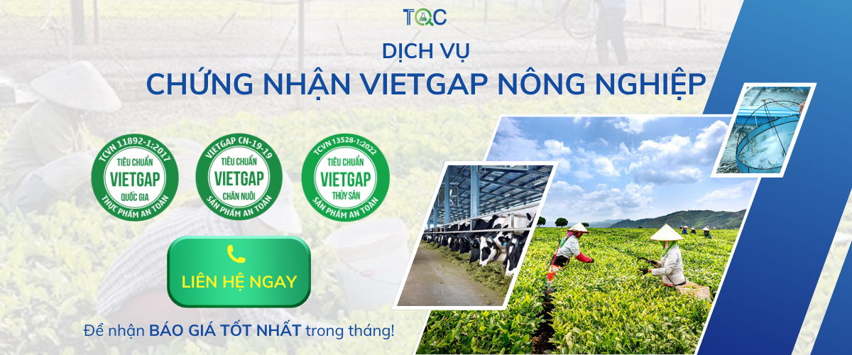 chung nhan vietgap moi nhat
