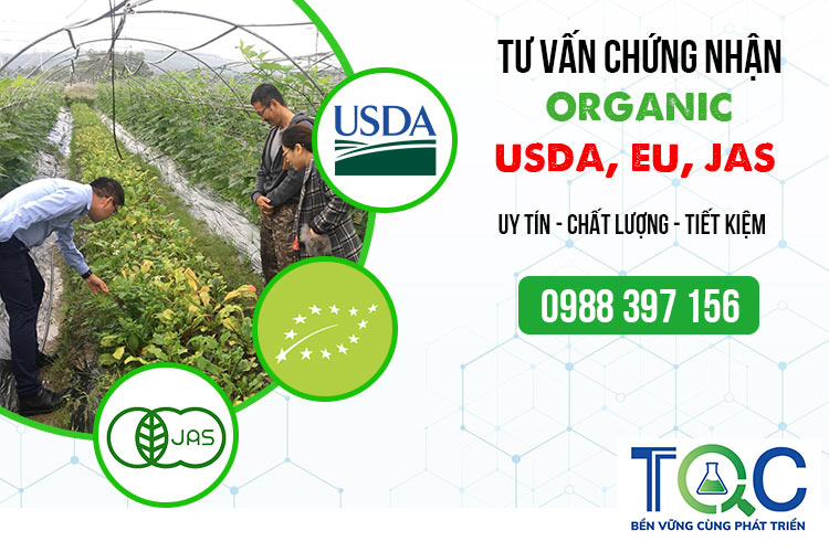tu-van-chung-nhan-organic